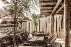 bar_resized-520x660