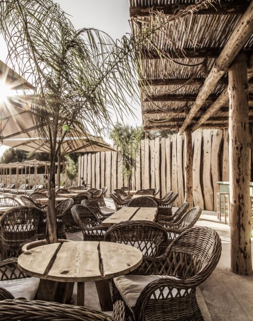 bar_resized-520x660
