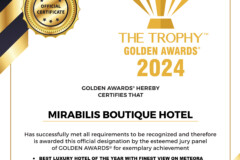 Diploma_Trophy_24